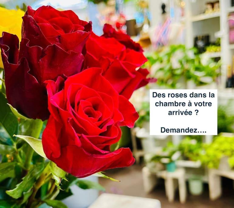 Romantique ... Esprit Appartement *